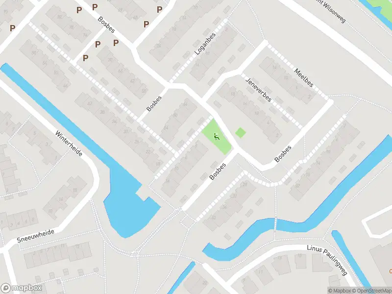 Ambulance met grote spoed naar de Karmozijnbes in Rotterdam