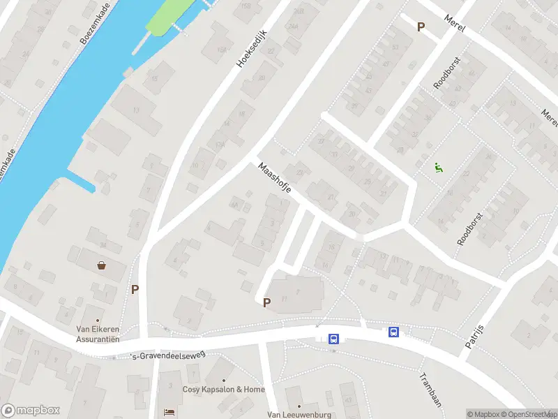 112 melding Overlastmelding Maashofje in Maasdam gesloten