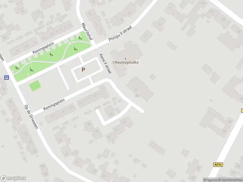 Overlastmelding Karel V Straat in Koningsbosch