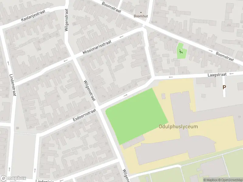 Overlastmelding Esdoornstraat in Tilburg