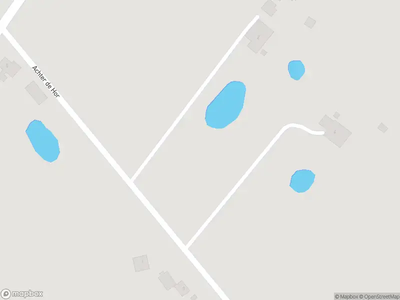 Politie met grote spoed naar de Achter de Hor in Lieveren vanwege ongeval met letsel