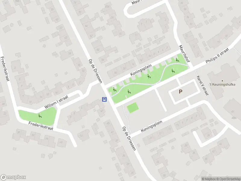 Overlastmelding Op de Driessen in Koningsbosch