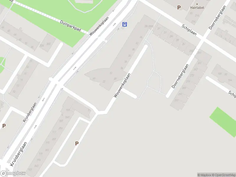 Overlastmelding Wouwenkoplaan in IJmuiden