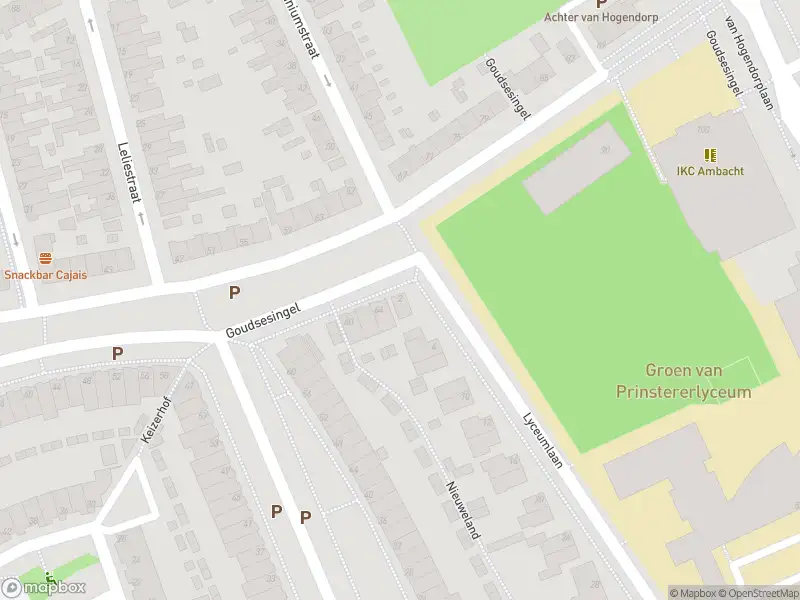 Ambulance met gepaste spoed naar de Lyceumlaan in Vlaardingen
