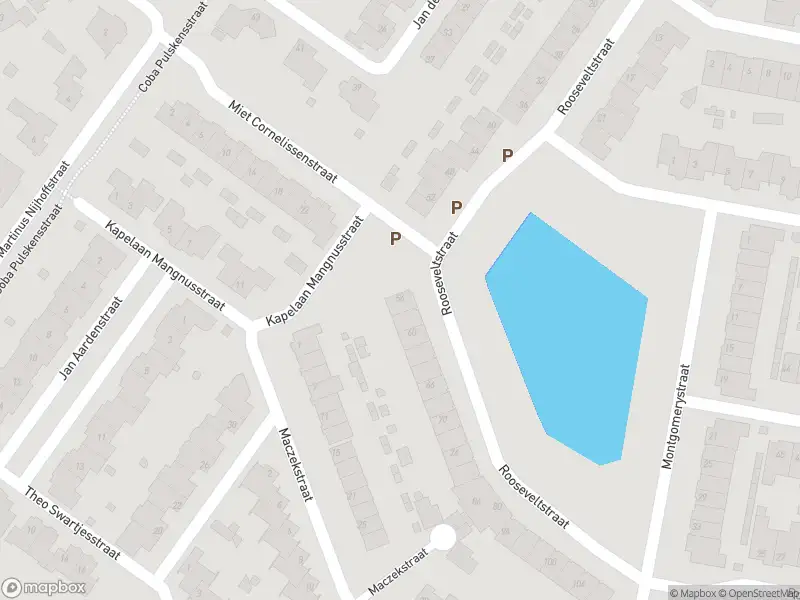 Overlastmelding Rooseveltstraat in Dongen