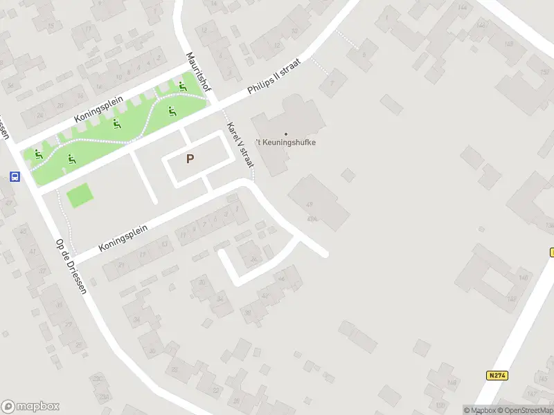 Overlastmelding Karel V Straat in Koningsbosch