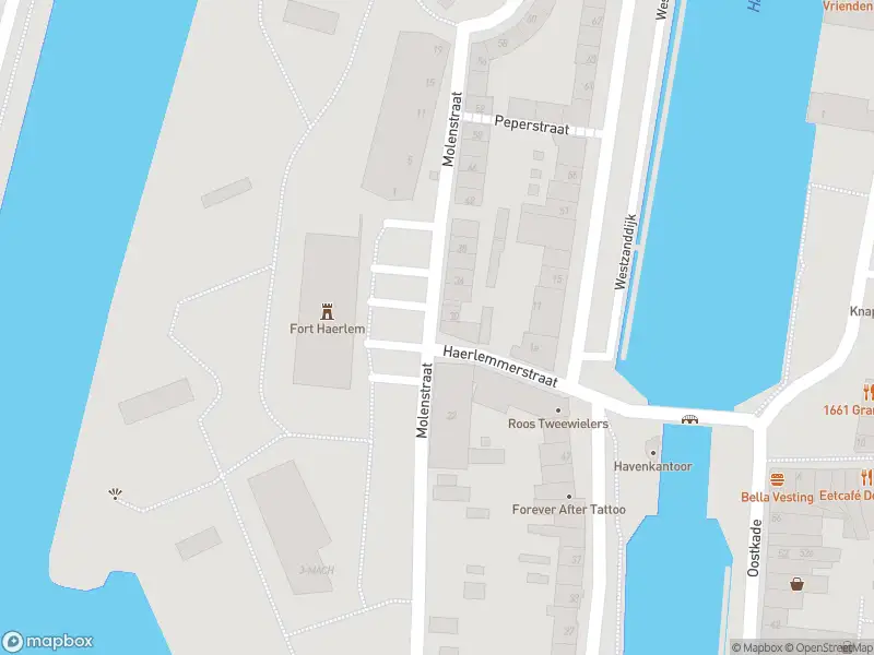 Brandweer met gepaste spoed naar de Molenstraat in Hellevoetsluis