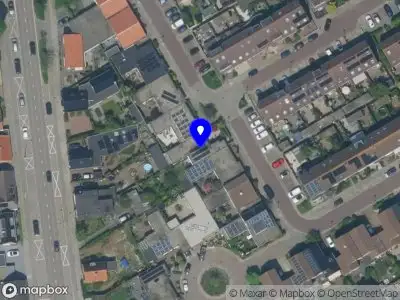 Overlastmelding Vogelkers in Heemskerk
