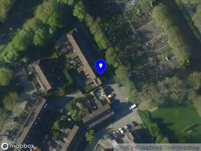 Overlastmelding Kluut in Hoorn