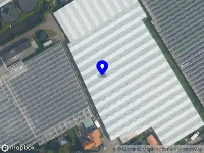 Ambulance met grote spoed naar de Van Ruyvenlaan in Poeldijk