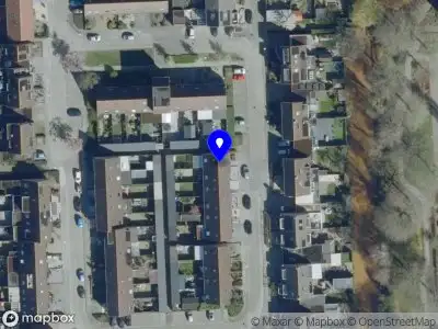 112 melding Anonieme overlastmelding Koolmees in Sprang-Capelle