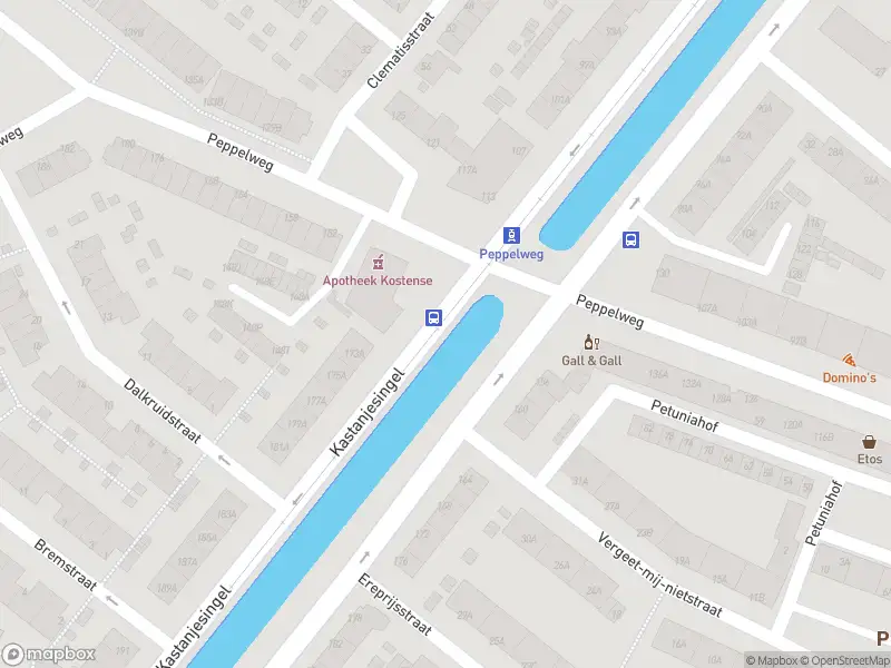 Ambulance met grote spoed naar de Peppelweg in Rotterdam