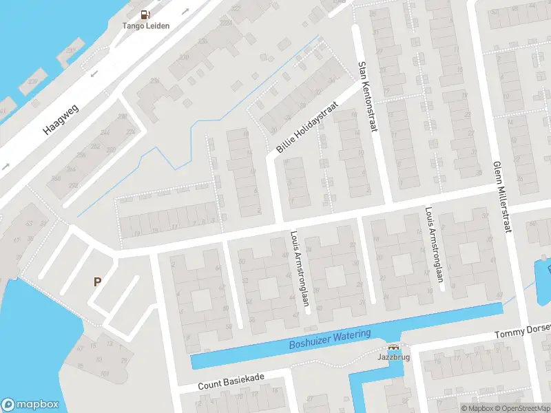 Ambulance met grote spoed naar de Billie Holidaystraat in Leiden