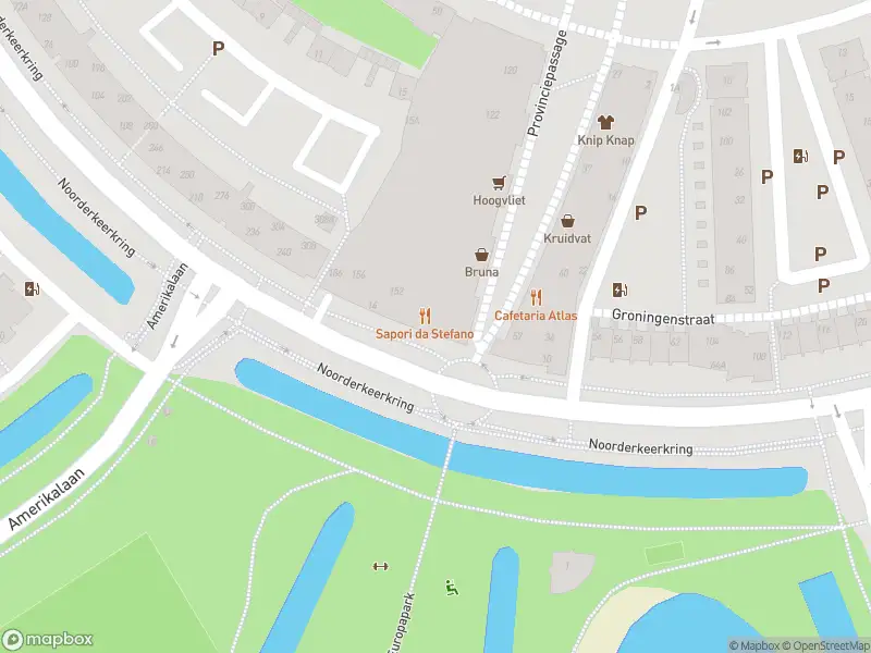 Brandweer met gepaste spoed naar de Noorderkeerkring in Alphen aan den Rijn