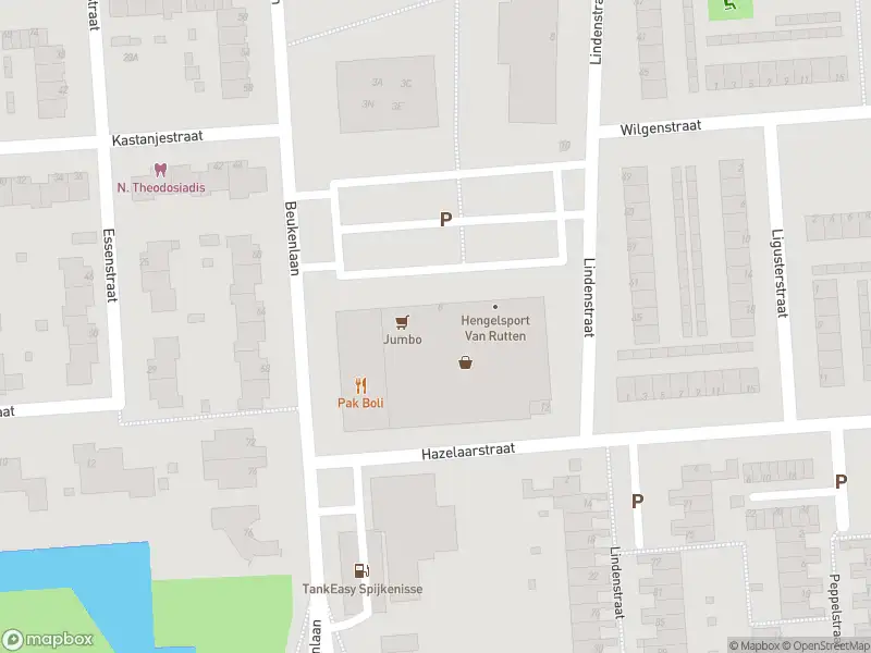 Ambulance met grote spoed naar de Groenewoud in Spijkenisse