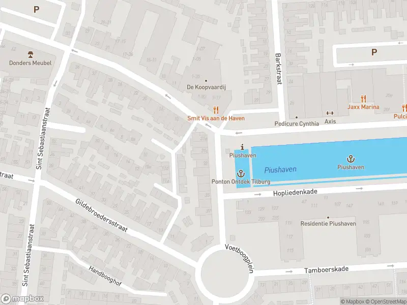 Overlastmelding Piusstraat in 5038WS Tilburg