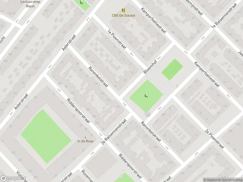 Ambulance met grote spoed naar de Ranonkelstraat in Rotterdam
