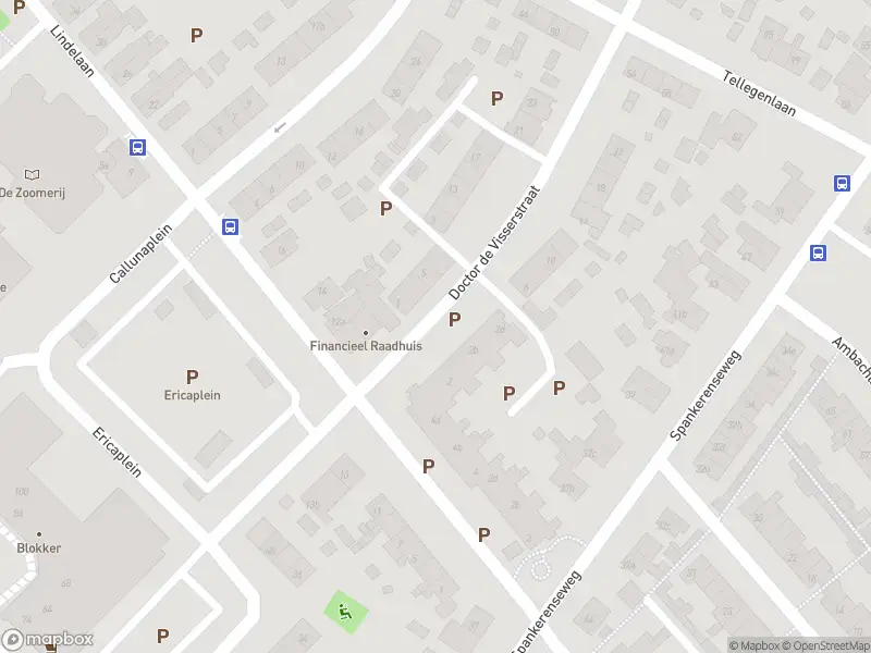 Overlastmelding Doctor de Visserstraat in Dieren