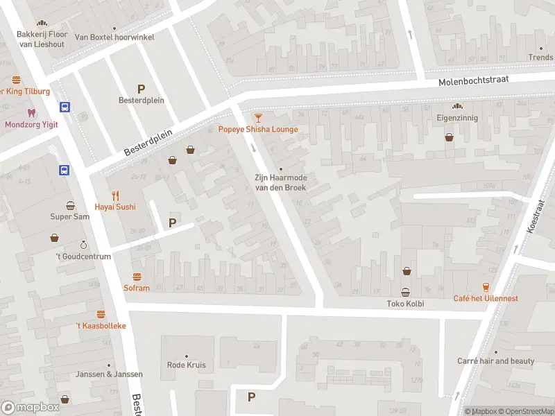 Overlastmelding Nicolaas Pieckstraat in Tilburg