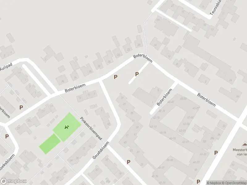 Anonieme overlastmelding Boterbloem in Udenhout