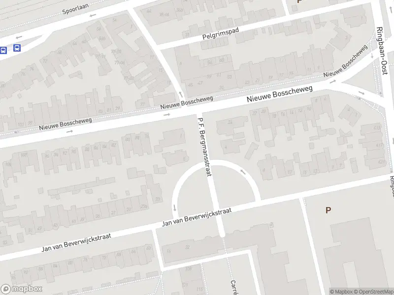 Overlastmelding P.F. Bergmansstraat in Tilburg