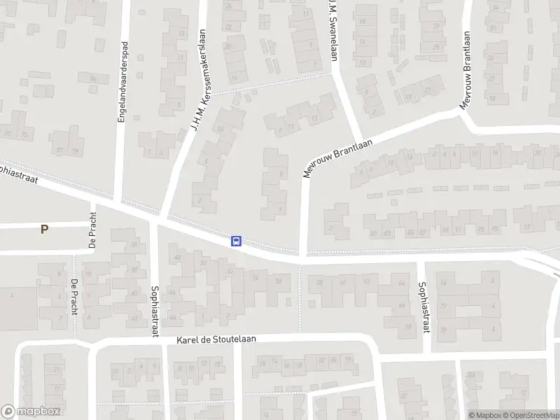 112 melding Overlastmelding Mevrouw Brantlaan in Waalre