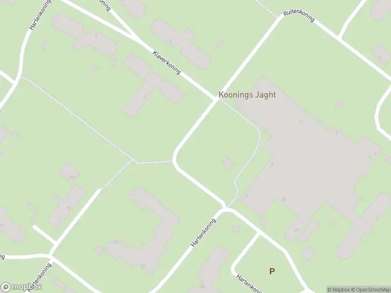 Overlastmelding Ruitenkoning in Arnhem