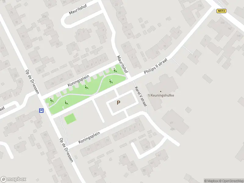 Overlastmelding Koningsplein in Koningsbosch gesloten