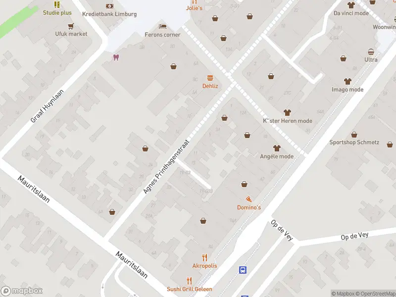 Anonieme overlastmelding Agnes Printhagenstraat in Geleen