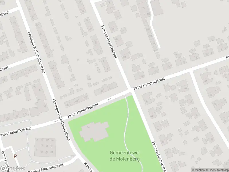 Anonieme overlastmelding Prins Hendrikstraat in Elst