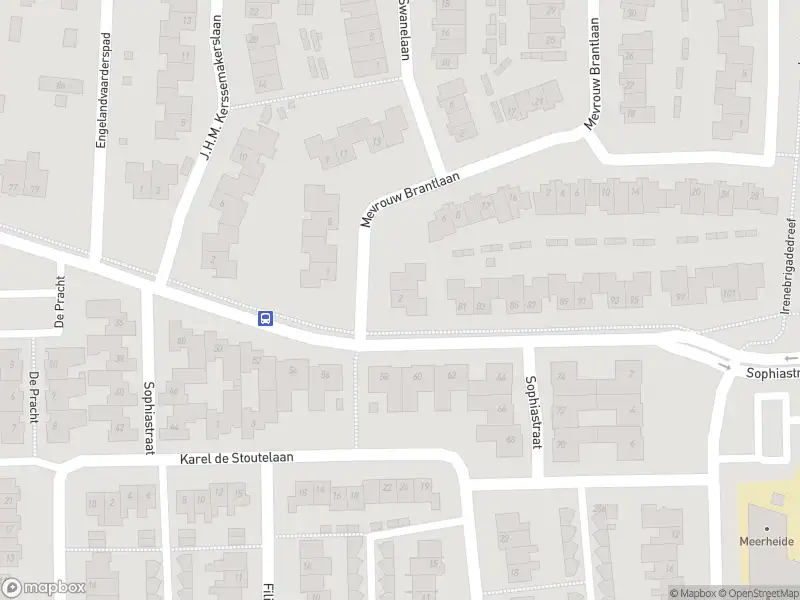 Overlastmelding Mevrouw Brantlaan in Waalre