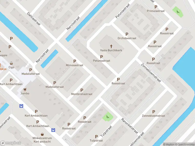 Overlastmelding Zonnebloemstraat in Zwijndrecht