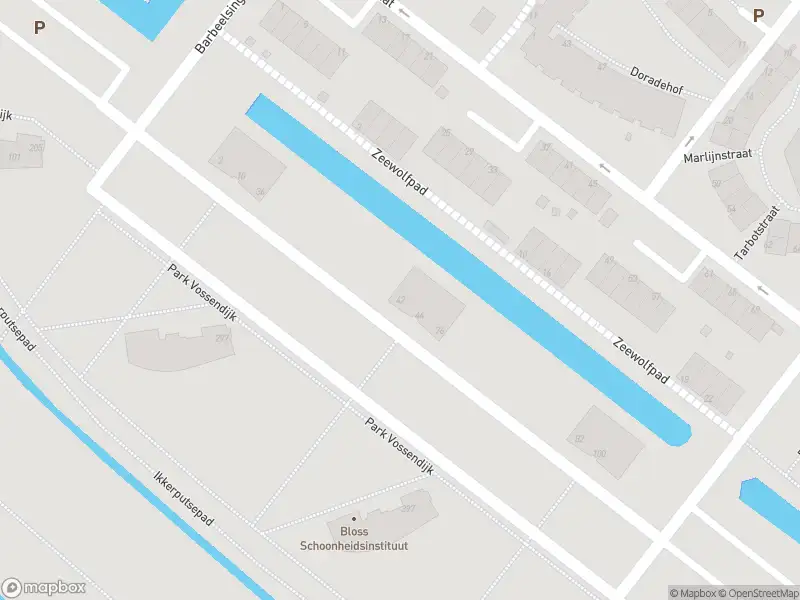 Ambulance met gepaste spoed naar de Park Vossendijk in Hoogvliet Rotterdam