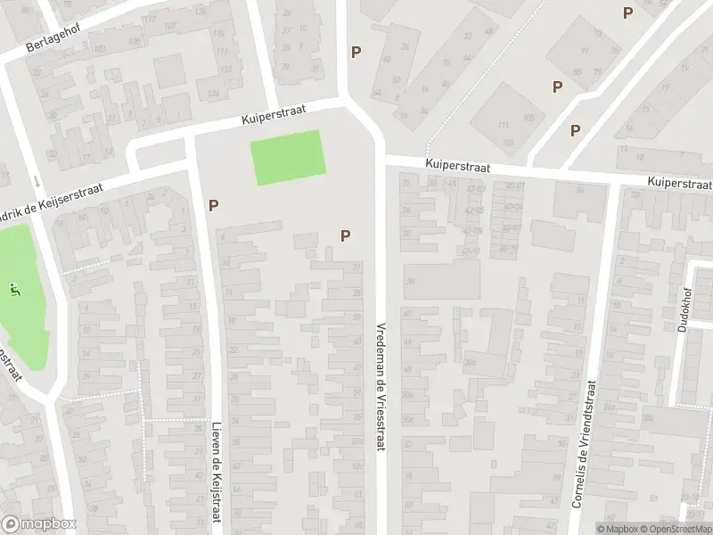 Overlastmelding Vredeman de Vriesstraat in Tilburg