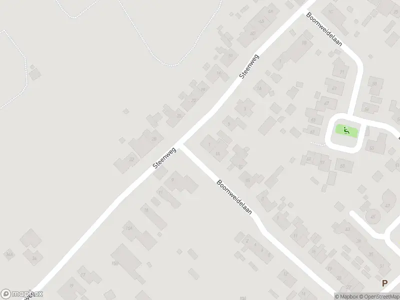 Overlastmelding Boomweidelaan in 4423AP Schore