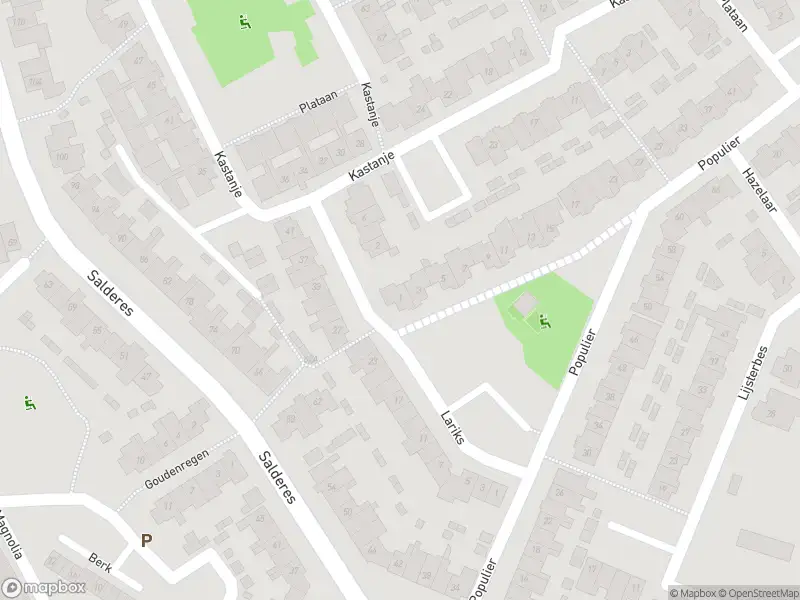 Overlastmelding Populier in Best