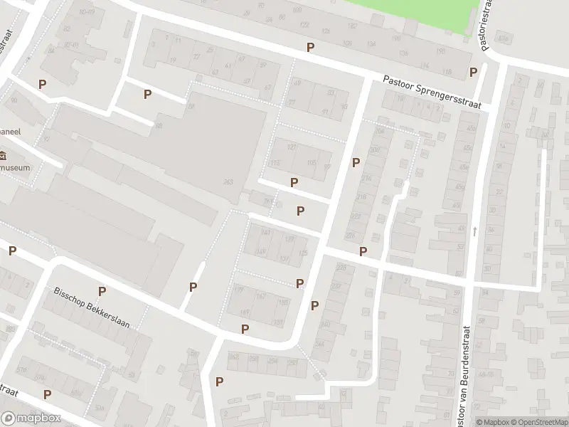 Overlastmelding Bisschop Bekkerslaan in Tilburg