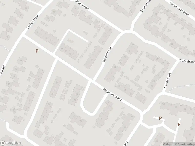 Overlastmelding Bremstraat in Echt