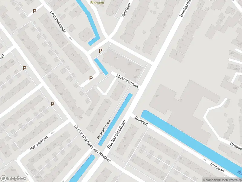 112 melding Overlastmelding Muscaristraat in Noordwijk