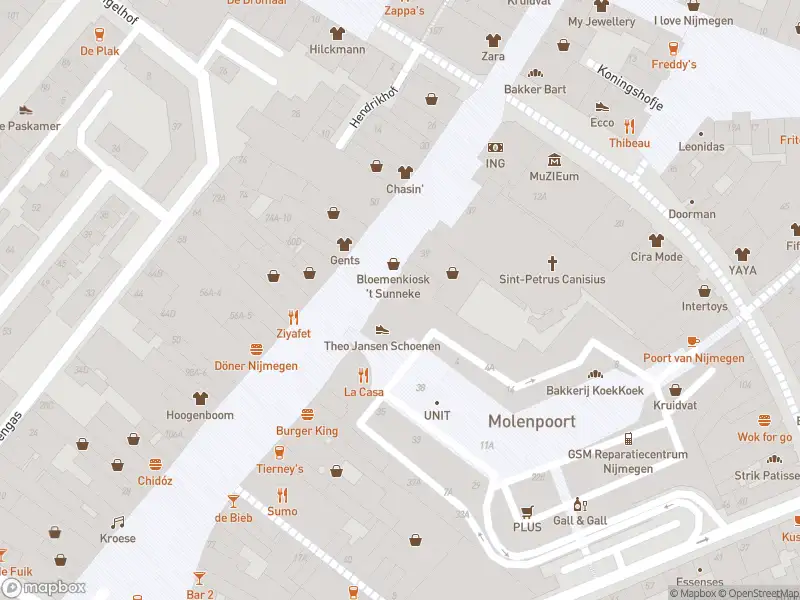 Brandweer met gepaste spoed naar de Bijleveldsingel in Nijmegen