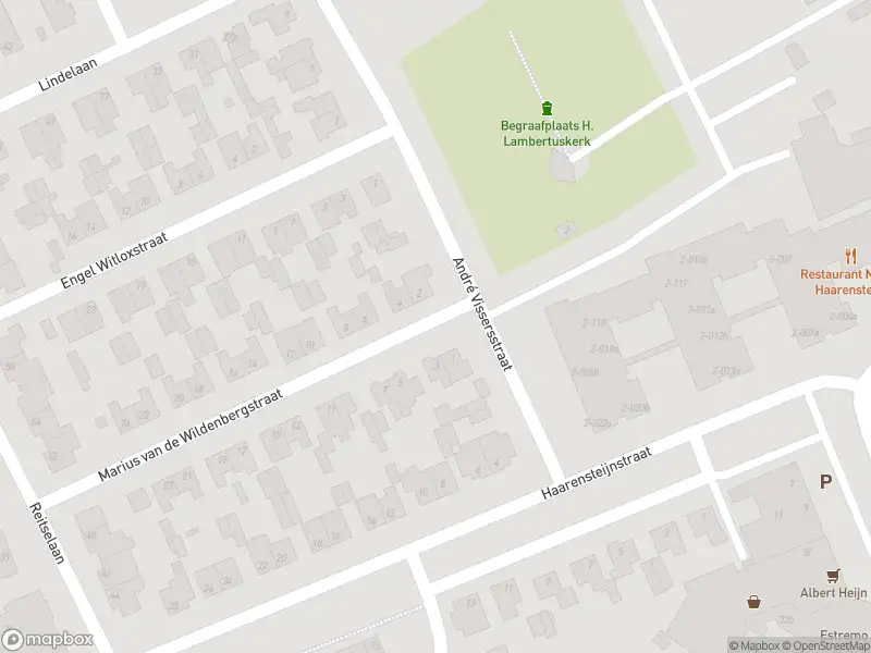 Overlastmelding Marius van de Wildenbergstraat in Haaren