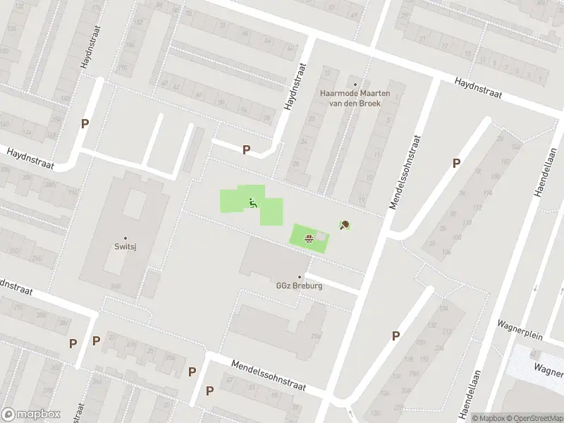 Overlastmelding Haydnstraat in 5011NM Tilburg