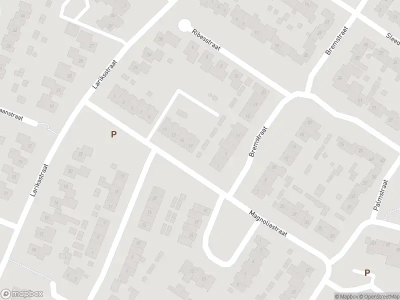 Overlastmelding Magnoliastraat in Echt