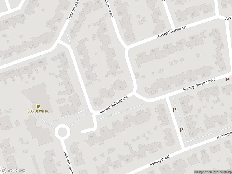 112 melding Overlastmelding Jan van Salmstraat in Born