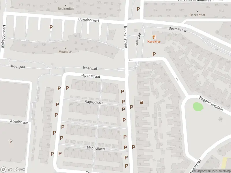 Overlastmelding Iepenpad in Tilburg