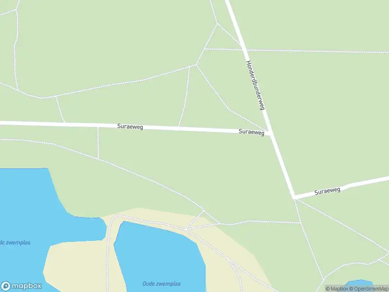 Brandweer met grote spoed naar de Wethouder van Dijklaan in Dorst