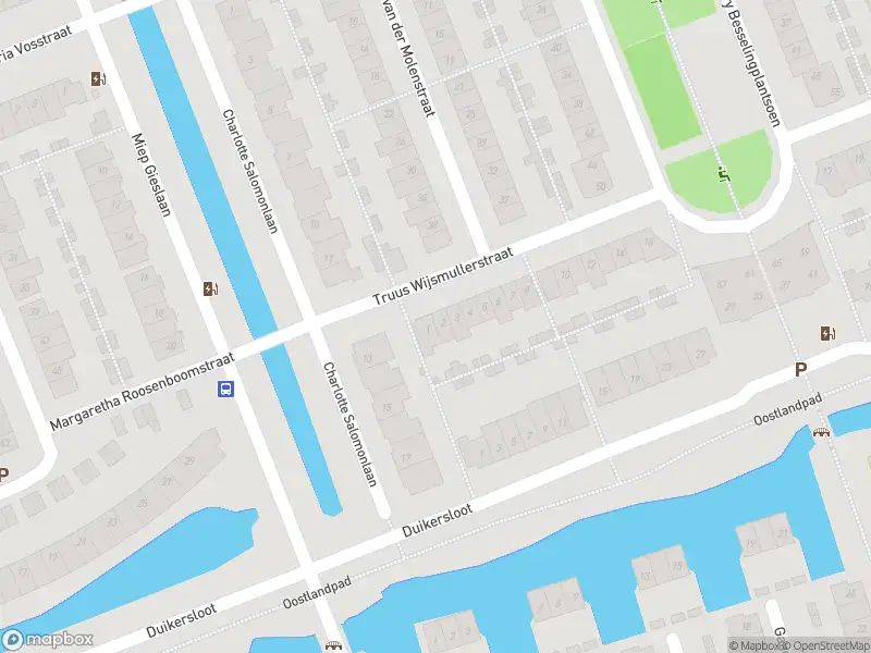 Ambulance met gepaste spoed naar de Truus Wijsmullerstraat in Pijnacker