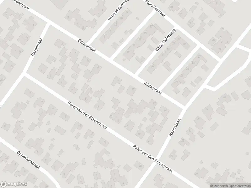 Brandweer met grote spoed naar de Bosschebaan in Heesch vanwege voertuigbrand