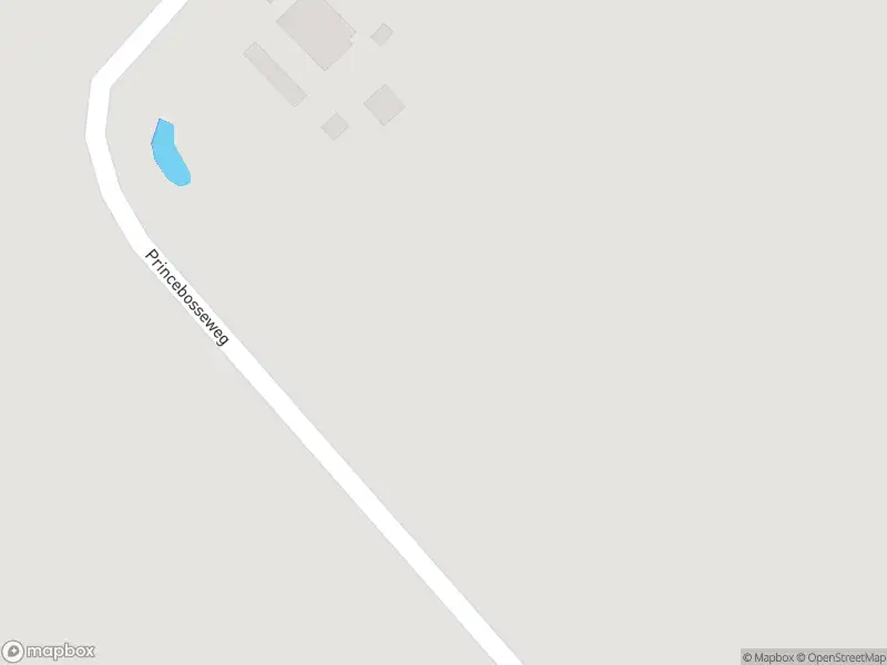 Politie met gepaste spoed naar de Princebosseweg in Kruisland vanwege letsel