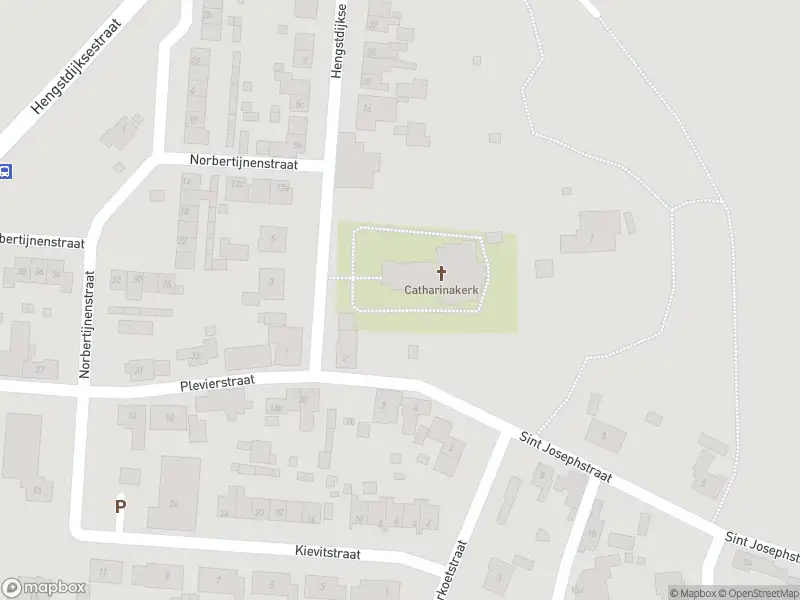 Politie met gepaste spoed naar de Plevierstraat in Hengstdijk vanwege letsel